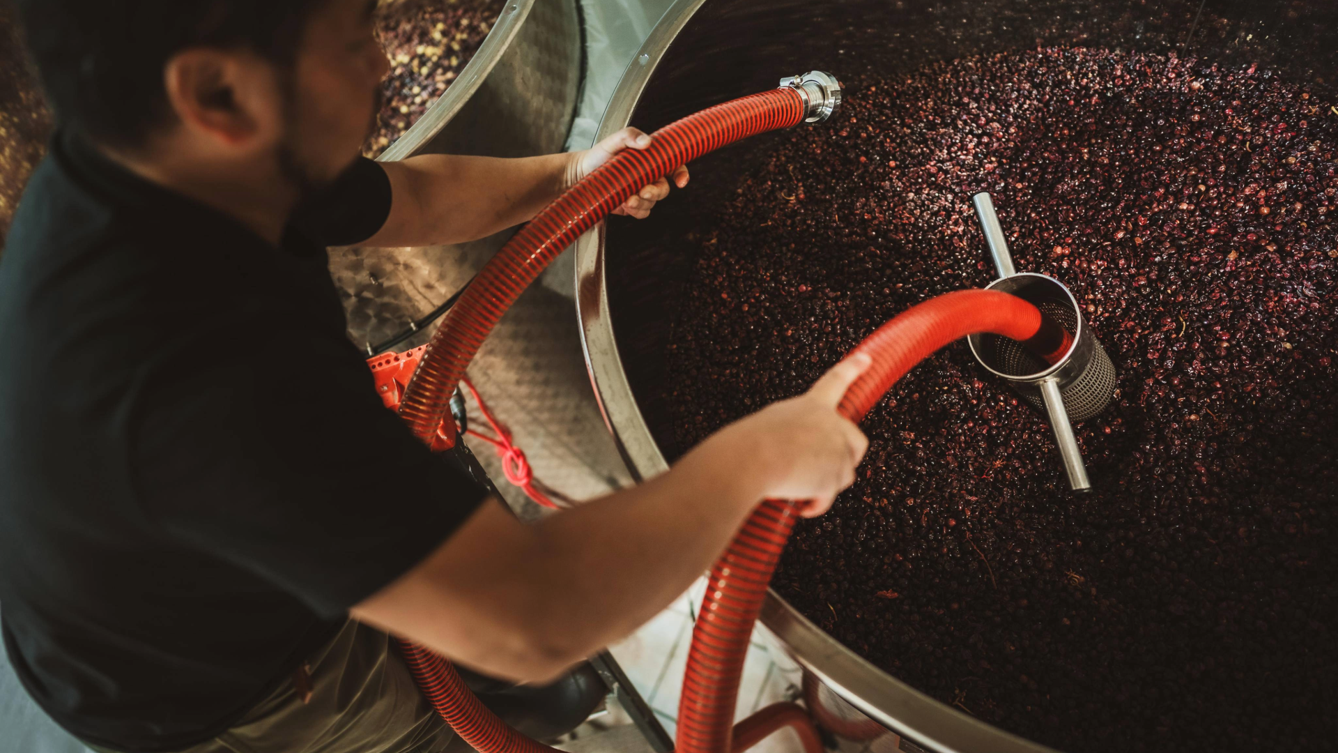 gallery_horizontal_1